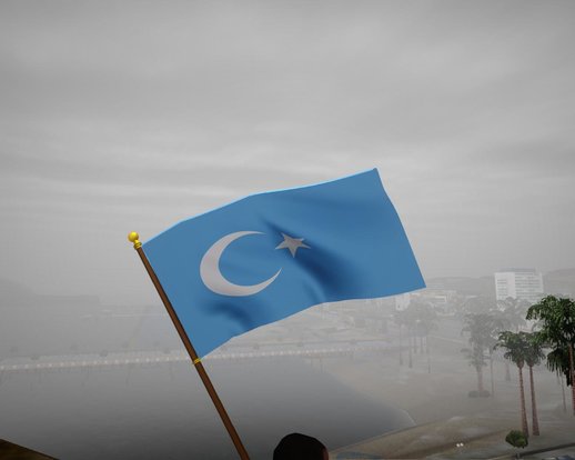 Doğu Türkistan Bayrağı - Flag Of East Turkestan - شەرقىي تۈركىستان دۆلەت بايرىقى