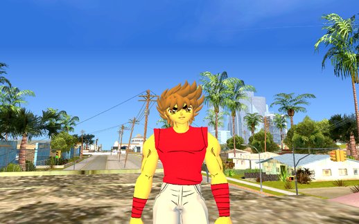 Seiya Casual Clothes - Saint Seiya Soldeir Soul