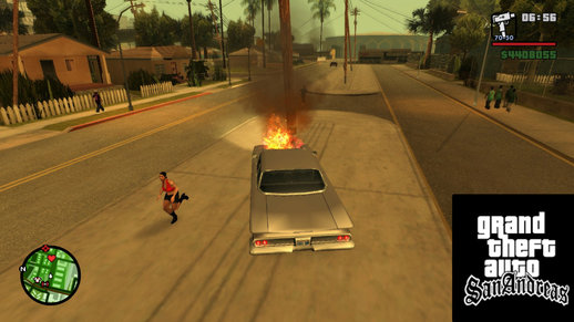 Peds Afraid Of The Burning Car