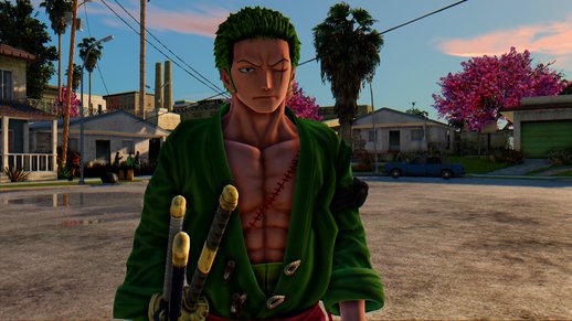 Zoro Roronoa