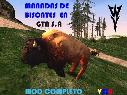 Manadas De Bisontes Americanos