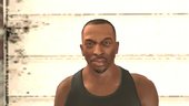 HD Universe Carl Johnson Skin Pack 