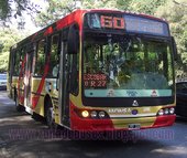 Nuovobus BamBam Agrale MT15 - Linea 60