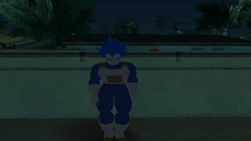 Vegeta Super Sayains Bleu Evoltion