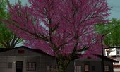 Cherry Trees For Android