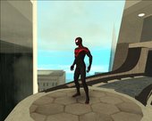 Miles Spiderman Skin pck