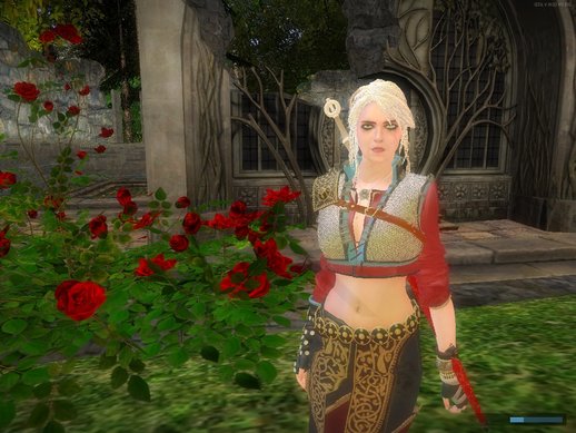 Ciri DLC from The Witcher 3