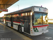 Ugarte Europeo IV MB O500U - Linea 88