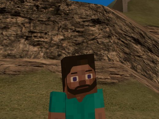 Totally Normal Minecraft Steve Skin