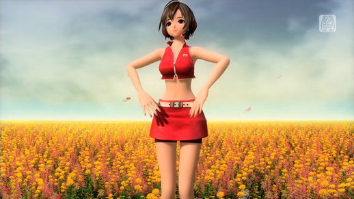 PDFT Meiko Skin