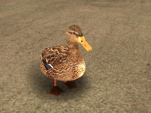 Duck Skin Mod