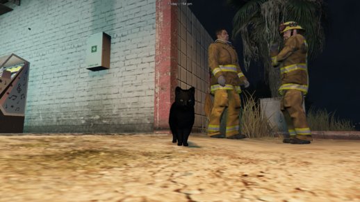 Black House Cat Mod