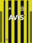 Fenerbahce SK Home 2020-2021