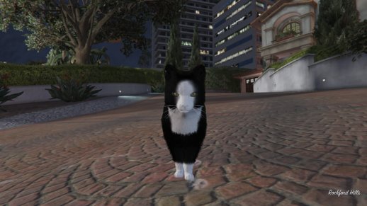 The Tuxedo House Cat Mod