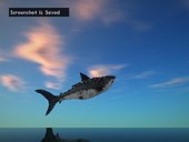 Shark Plane