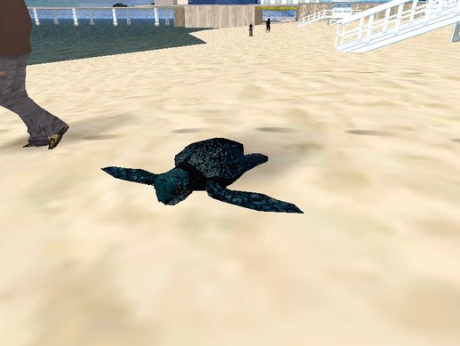 Tortuga