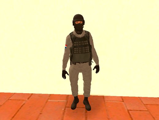 Policia Dominicano V2