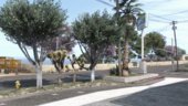 Paleto Bay Vegetation Overhaul [YMAP]