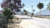 Sandy Shores Vegetation Overhaul [YMAP]