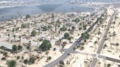 Sandy Shores Vegetation Overhaul [YMAP]