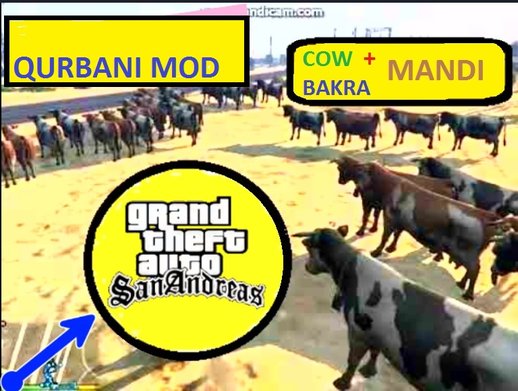 Bakra Mandi + Qurbani Mod