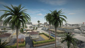 Palm Trees From Definitive Edition