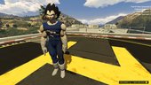 Dragon Ball Z - VEGETA - Regular & Battle Damage - retexture