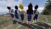 Dragon Ball Z - VEGETA - Regular & Battle Damage - retexture