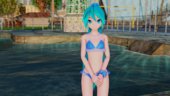 PDFT Hatsune Miku Swinwear B