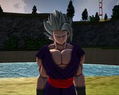 Dragon Ball Super Hero Skin Pack 1