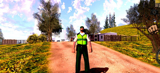 Skin Policia de Transito del Perú for Mobile