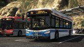 Brampton Transit Bus Pack - Part 1 [Addon]