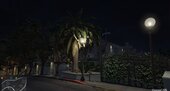 Vinewood House 2886