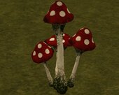 Ryder Mushrooms