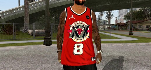 Chicago Bulls Alternate Jersey