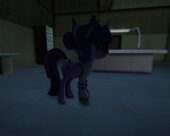 My Little Pony Sci Twi V2