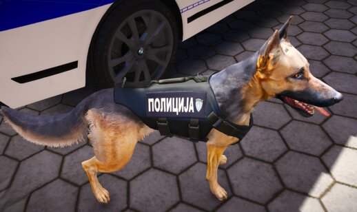 Nemacki Ovcar, Vucijak - Policija Srbije , German Shepherd - Serbian Police [Replace]