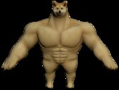 Buff Doge (Perro Doge musculoso)