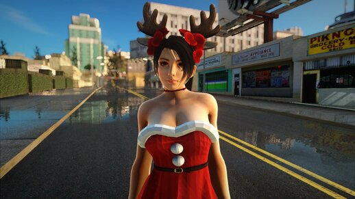 Momiji Xmas Set 