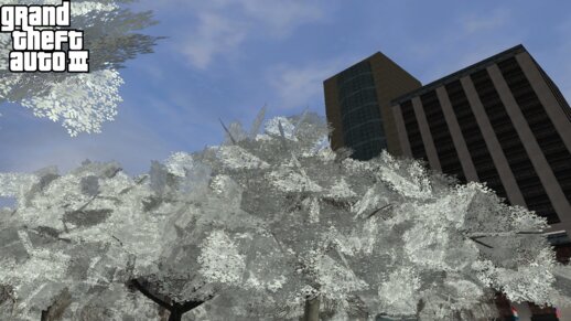 Winter Trees UpDate 2024