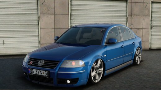 Volkswagen Passat B5.5 