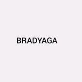 BRADYAGA 2107 (only DFF)