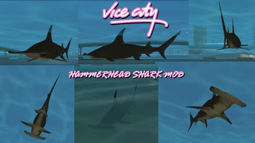 Hammerhead Shark Mod